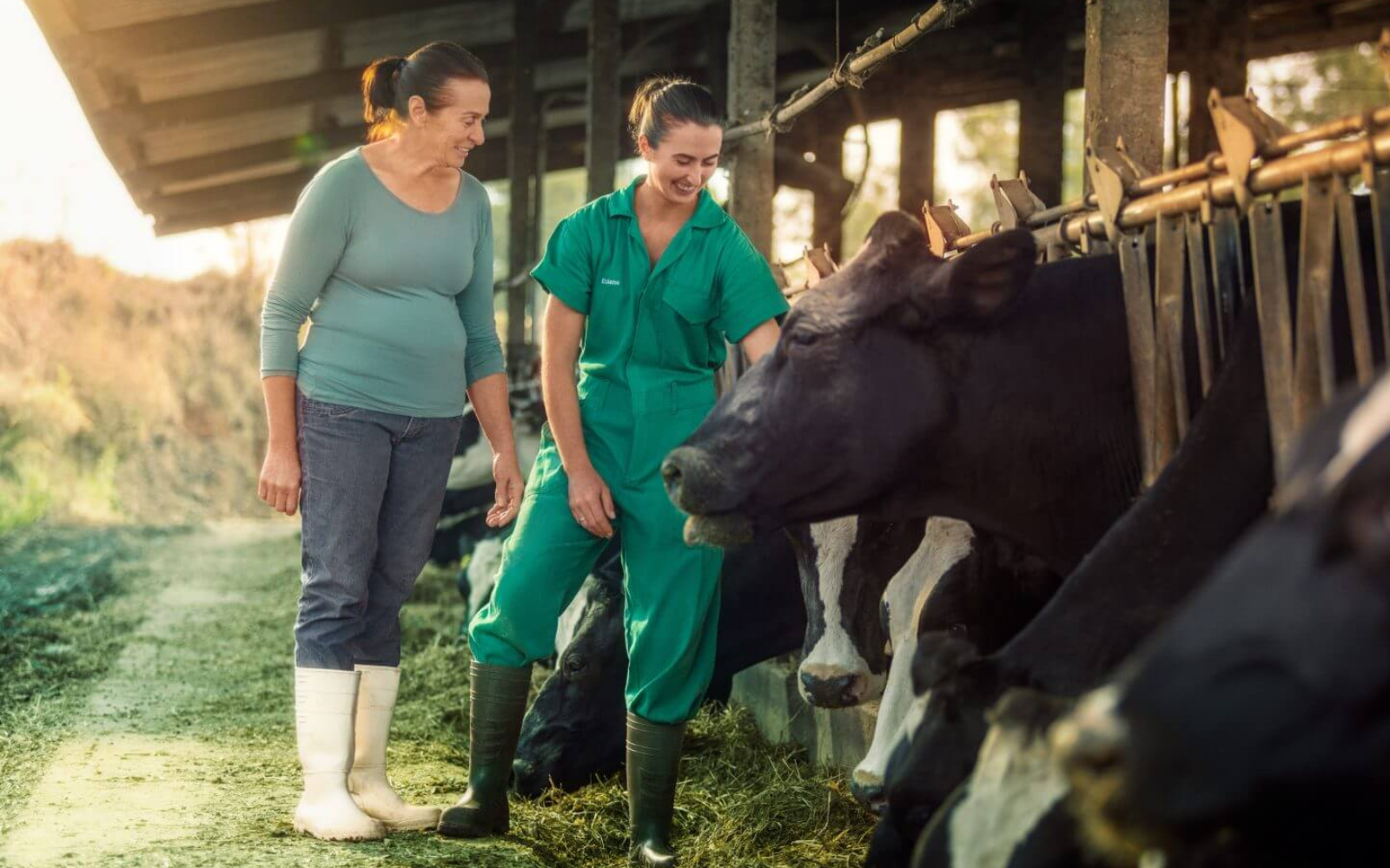 O desafio da sucessão familiar na produção leiteira - Grupo Origen - Mais Leite, Mais Quailidade, Mais rentabilidade
